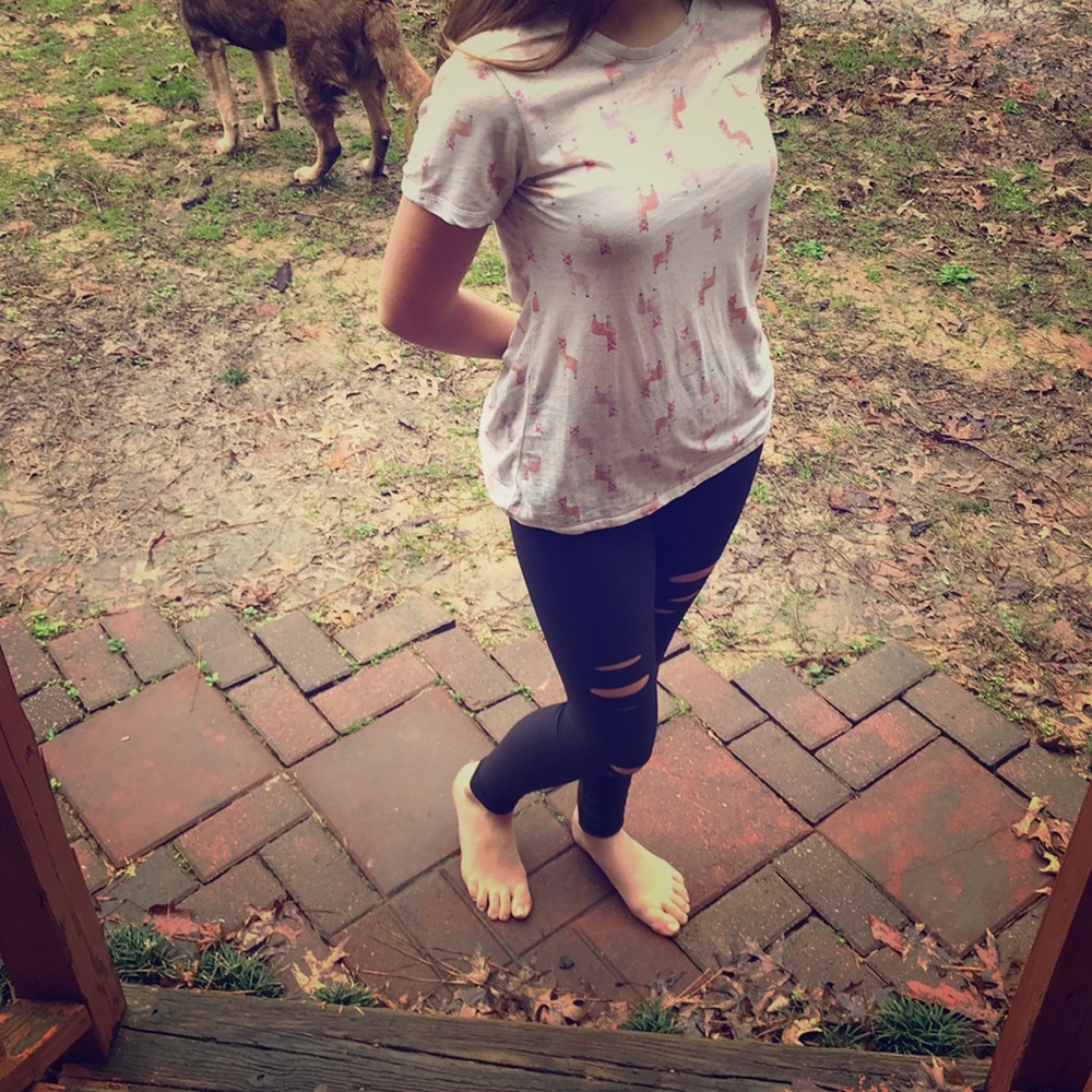 A lama shirt.🦙